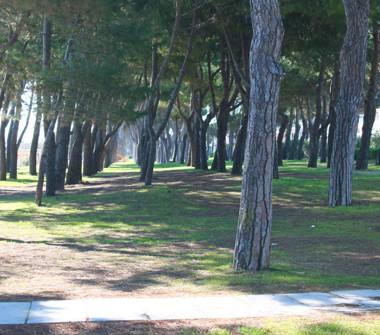 Affitto Appartamento Vacanze a Pineto (Teramo)