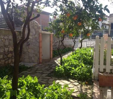 Affitto Appartamento Vacanze a Ascea (Salerno), Via Progresso s.n.c