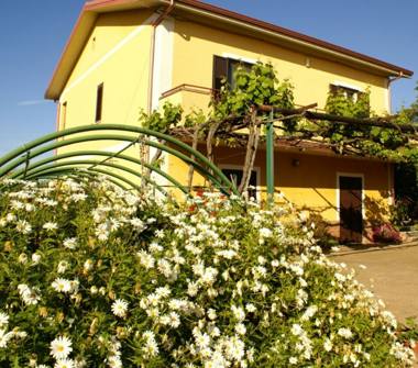 Affitto Appartamento Vacanze a Zambrone (Vibo Valentia)