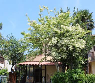 Casa indipendente in vendita a Ravenna, Zona Lido di Savio