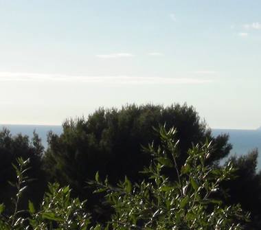 Affitto Villa Vacanze a Rosignano Marittimo, Frazione Castiglioncello