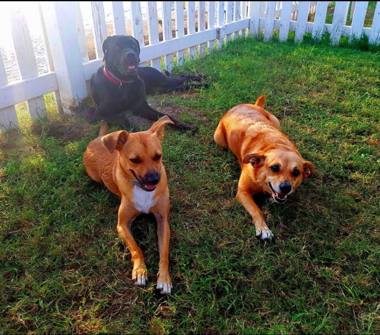 Affitto Stanza Singola a Napoli, Zona Piazza Cavour