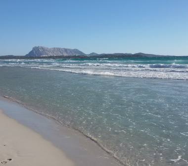 Affitto Appartamento Vacanze a San Teodoro, Frazione Suaredda