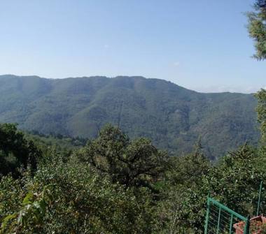 Affitto Rustico/Casale Vacanze a Londa, Frazione Vierle