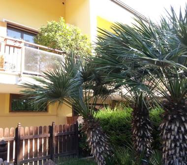 Villetta a schiera in vendita a Pescara (Pescara)