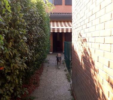 Affitto Stanza Doppia a Castenaso (Bologna)