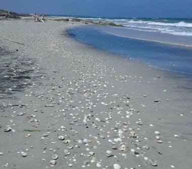 Affitto Appartamento Vacanze a Vernole, Frazione Vanze