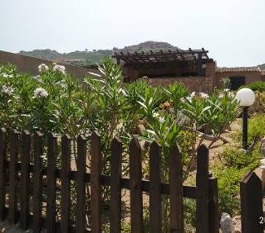 Affitto Casa Vacanze a Trinità d'Agultu e Vignola, Frazione Costa Paradiso