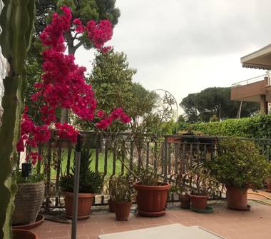 Affitto Appartamento Vacanze a Formia (Latina)