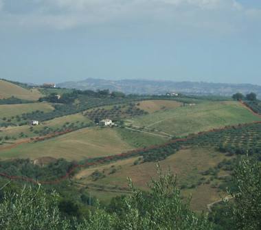 Terreno Agricolo/Coltura in vendita a Loreto Aprutino, Frazione Madonna Degli Angeli