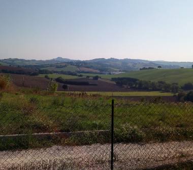 Quadrilocale in vendita a Polverigi (Ancona)