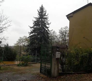 Rustico/Casale in vendita a Montesegale, Frazione Sanguignano