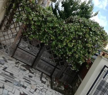 Affitto Appartamento Vacanze a Cecina (Livorno)