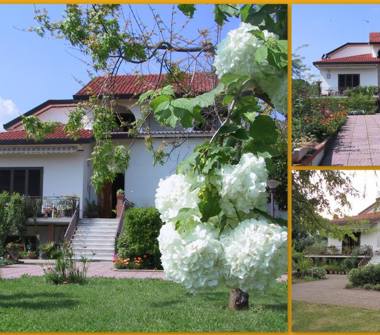 Villa in vendita a Faicchio (Benevento)