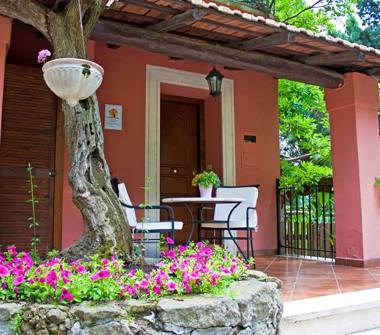 Offerta Vacanze Bed & Breakfast a Grottaferrata (Roma)