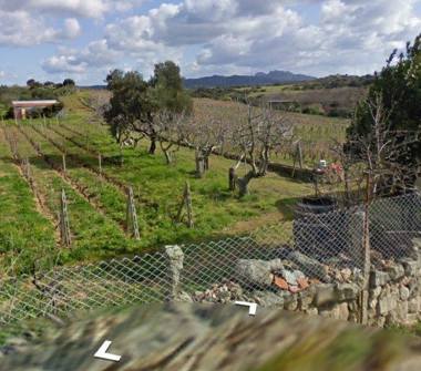 Rustico/Casale in vendita a Luogosanto (Sassari)