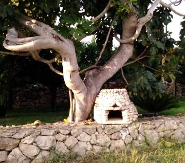 Affitto Villa Vacanze a Galatone, Frazione Galatone Campagne