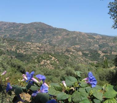 Appartamento in vendita a Jerzu (Nuoro)