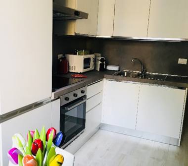 Trilocale in affitto a Bologna, Zona Santo Stefano