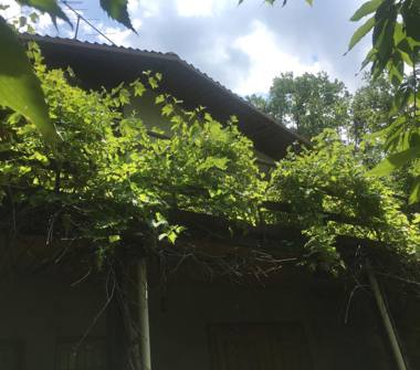 Casa indipendente in vendita a Camugnano, Frazione Carpineta