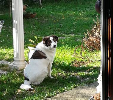 Villa in vendita a Scandriglia, Frazione Ponticelli