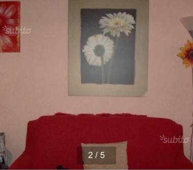 Monolocale in vendita a Catanzaro (Catanzaro)