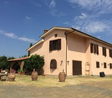 Azienda Agricola in vendita a Gavorrano (Grosseto)