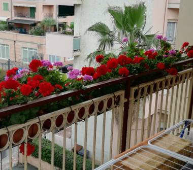 Affitto Appartamento Vacanze a Bordighera, Frazione Sasso Di Bordighera