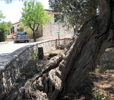 Affitto Villa Vacanze a Polignano a Mare, Frazione Casello Cavuzzi