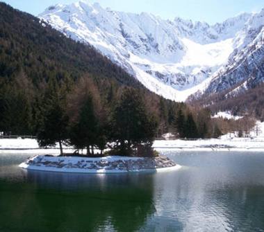 Affitto Appartamento Vacanze a Temù (Brescia)