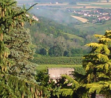 Rustico/Casale in vendita a Pietra de' Giorgi (Pavia)