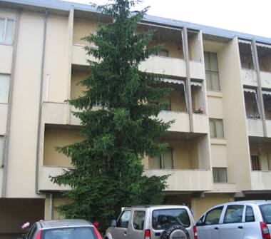 Appartamento in vendita a Pomarance (Pisa)