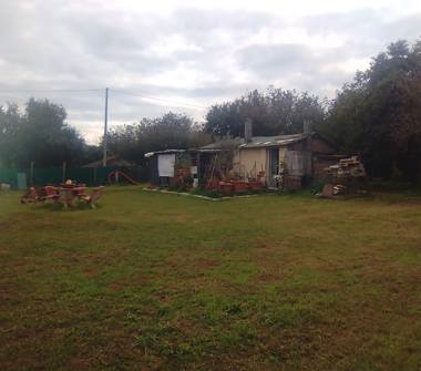 Terreno Agricolo/Coltura in vendita a Bassano Romano (Viterbo)