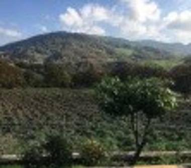 Casa indipendente in vendita a Pavullo nel Frignano, Frazione Gaiato Pianelli