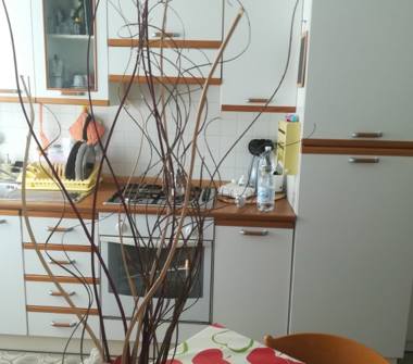 Bilocale in affitto a La Spezia, Zona Pagliari