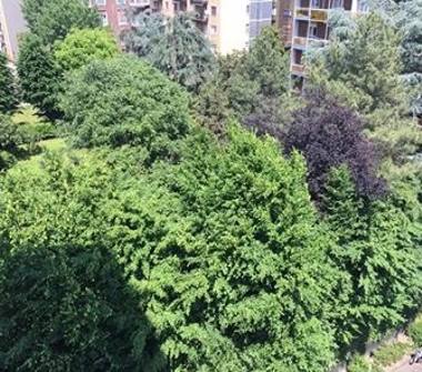 Affitto Stanze e Posti Letto da Privati Milano, Ripamonti ...