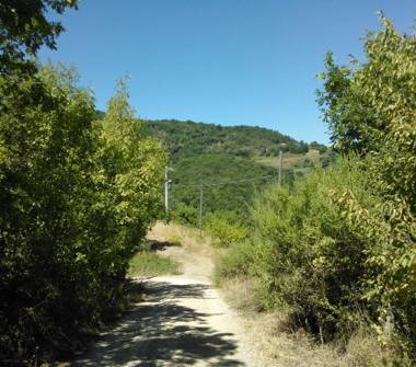 Terreno Agricolo/Coltura in vendita a Chianni, Frazione Rivalto