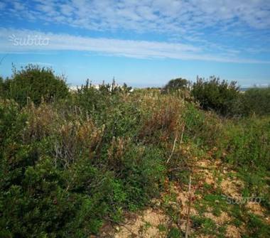 Terreno Agricolo/Coltura in vendita a Petrosino (Trapani)