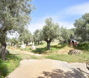 Villa in vendita a Quartu Sant'Elena (Cagliari)