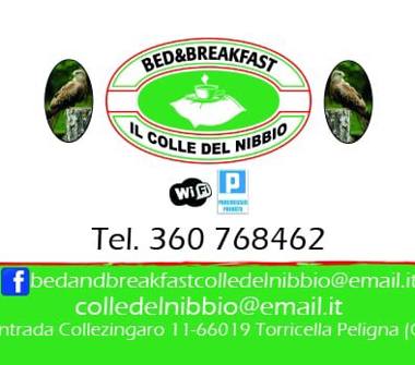 Offerta Vacanze Bed & Breakfast a Torricella Peligna (Chieti)