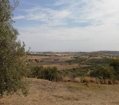 Villa in vendita a Ispica (Ragusa)