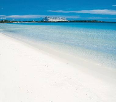 Affitto Casa Vacanze a San Teodoro (Sassari), Via Aldo Moro 2