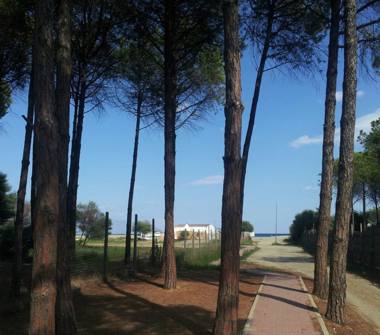 Affitto Villa Vacanze a Corigliano-Rossano (Cosenza)