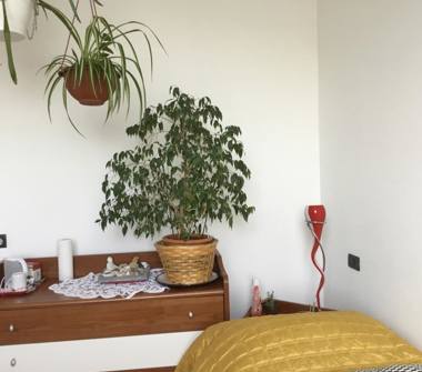 Affitto Stanza Singola a Peschiera del Garda (Verona)