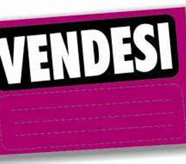 Terreno Agricolo/Coltura in vendita a Partinico (Palermo)