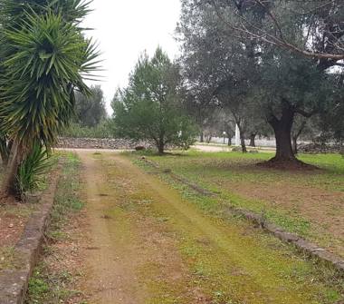 Rustico/Casale in vendita a San Vito dei Normanni (Brindisi)