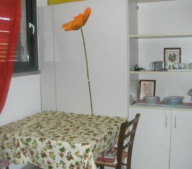 Affitto Appartamento Vacanze a Cecina (Livorno)