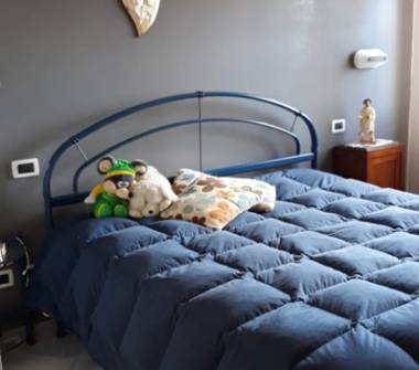 Appartamento in vendita a San Martino in Pensilis (Campobasso)