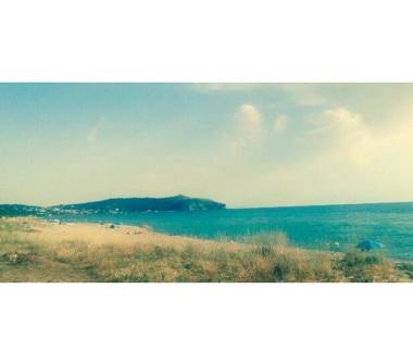 Affitto Casa Vacanze a Pisciotta, Frazione Caprioli