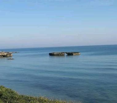 Affitto Stanza Doppia a Leverano (Lecce)